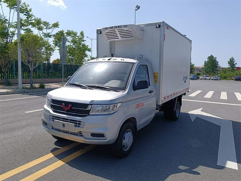 五菱后雙輪冷藏車汽油2.0排量可做限高2.15M